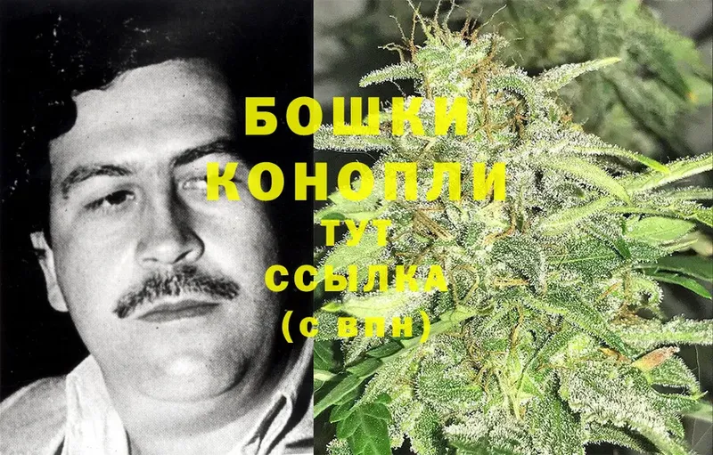 МАРИХУАНА LSD WEED  закладка  Губаха 